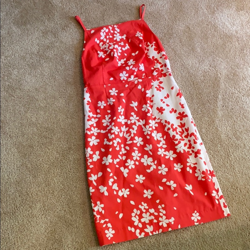 Magaschoni Collection dress